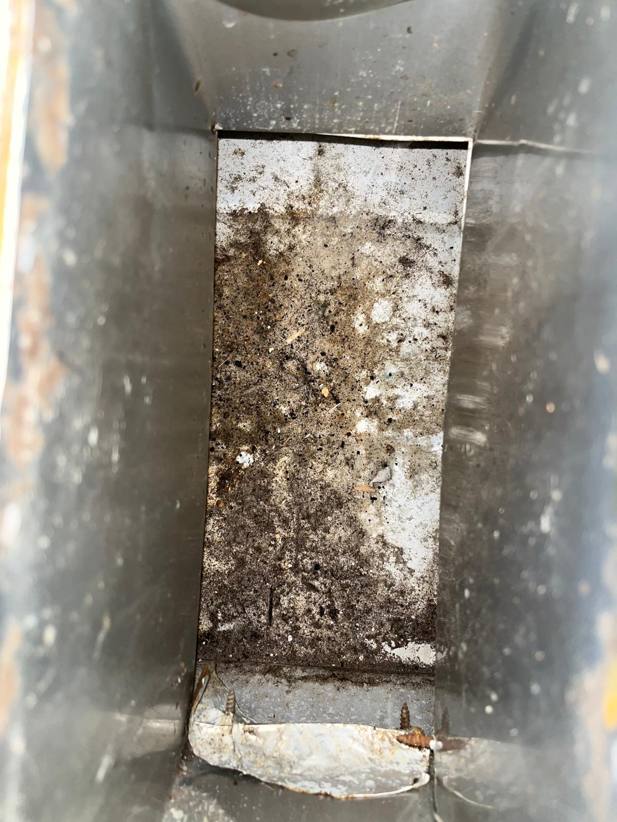 Heavy mold growth and grime inside rectangular metal air duct in a Florida home before SunDuct cleaning