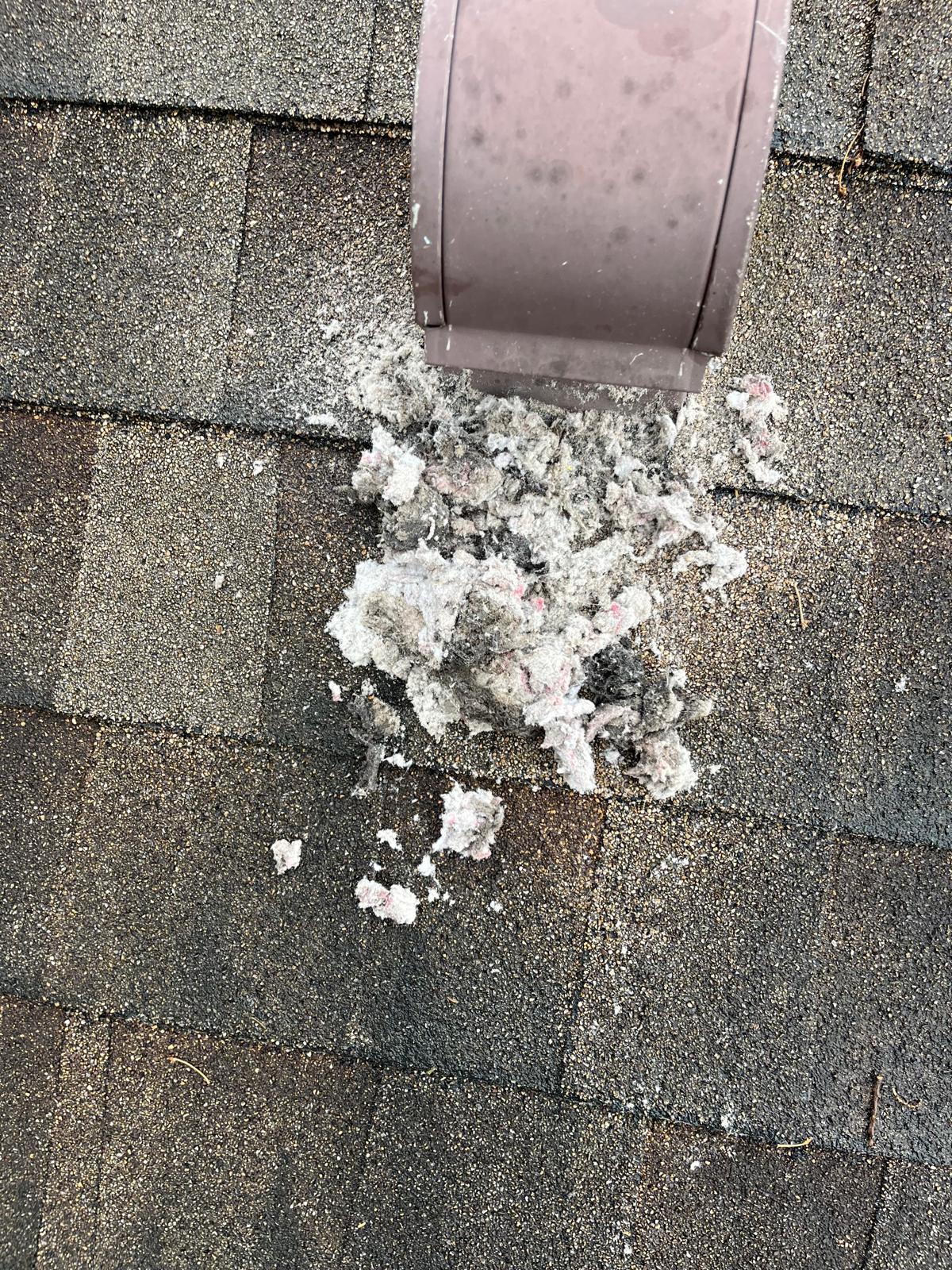 Dryer vent roof cap on Florida home shingles surrounded by accumulated lint creating a serious fire hazard
