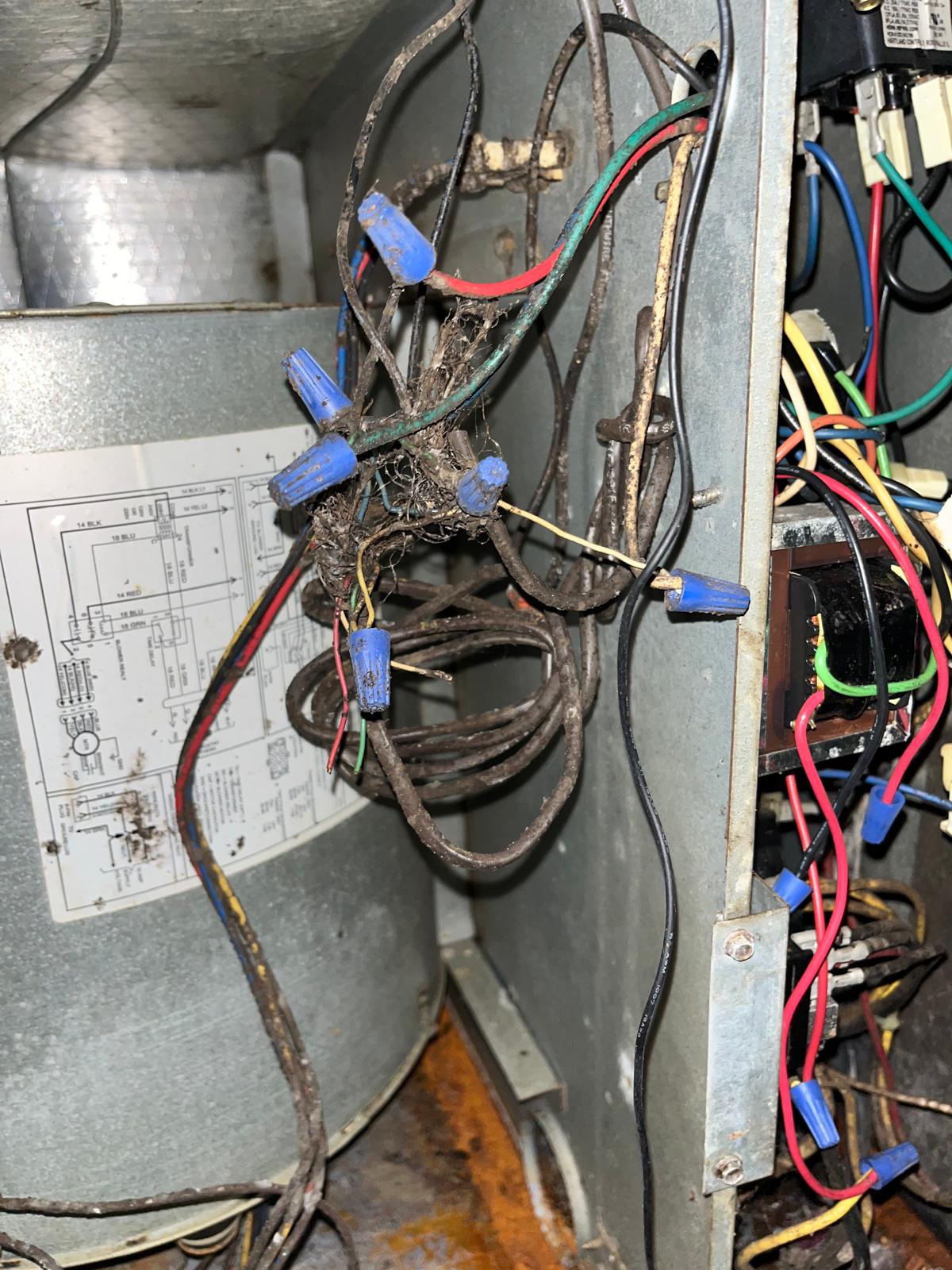 HVAC blower compartment showing heavily dust and debris-coated wiring before SunDuct HVAC cleaning service