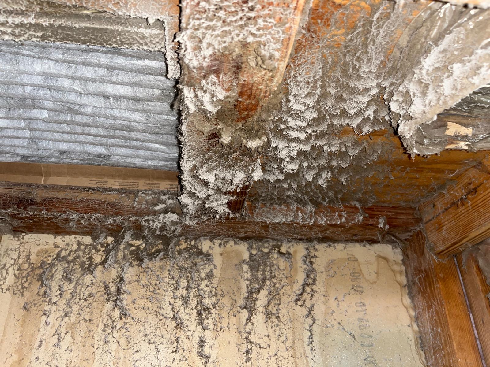 Severe mold growth and water damage on attic wood framing and insulation from HVAC duct moisture