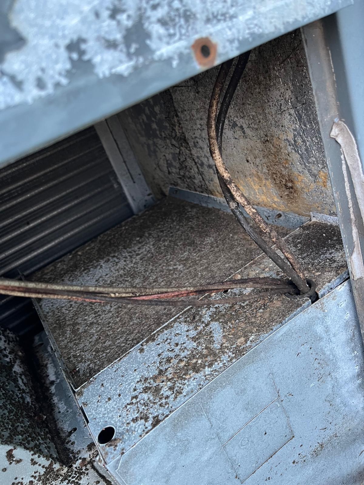 Air duct and vent cleaning in Sebastian, FL