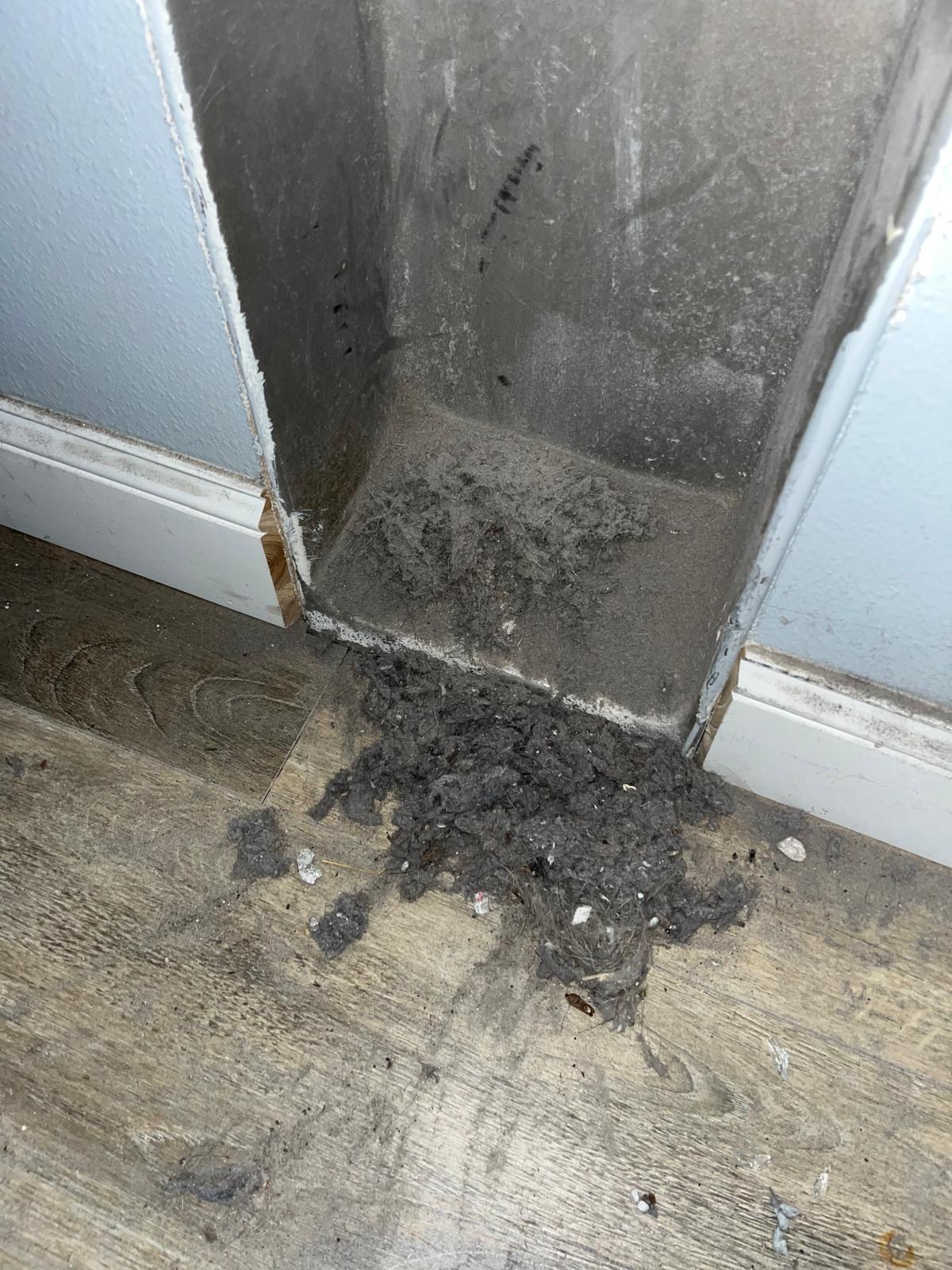 Dust and debris removed from a home air duct during cleaning in Stuart, FL