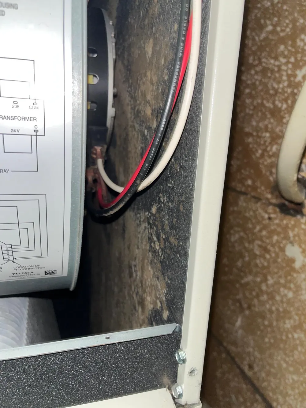 Dust and mold buildup inside a Florida air handler before duct cleaning