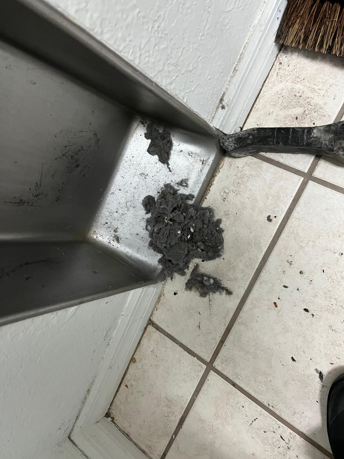 Clogged dryer vent in a Jensen Beach home before cleaning