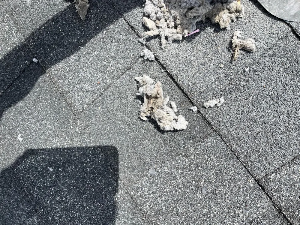 Lint cleared from a roof dryer vent exit on a Treasure Coast home